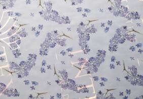 untitled (127 of 226)